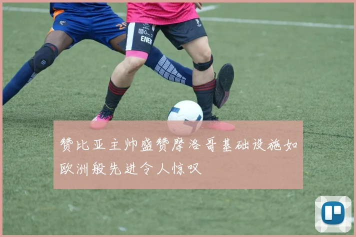 赞比亚主帅盛赞摩洛哥基础设施如欧洲般先进令人惊叹