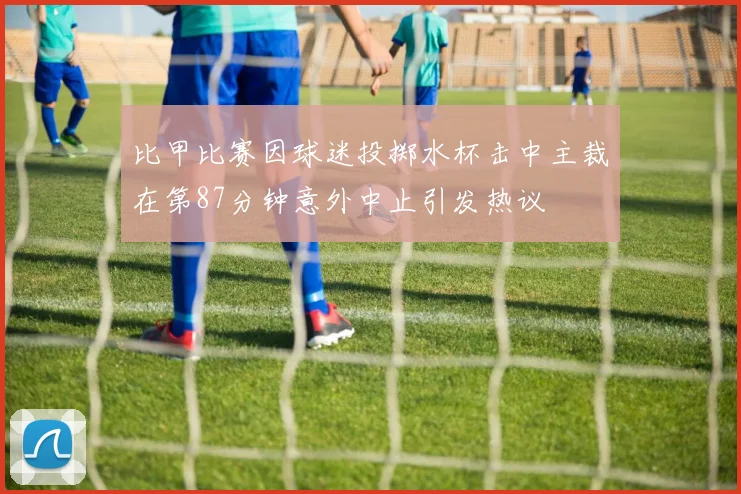 比甲比赛因球迷投掷水杯击中主裁在第87分钟意外中止引发热议