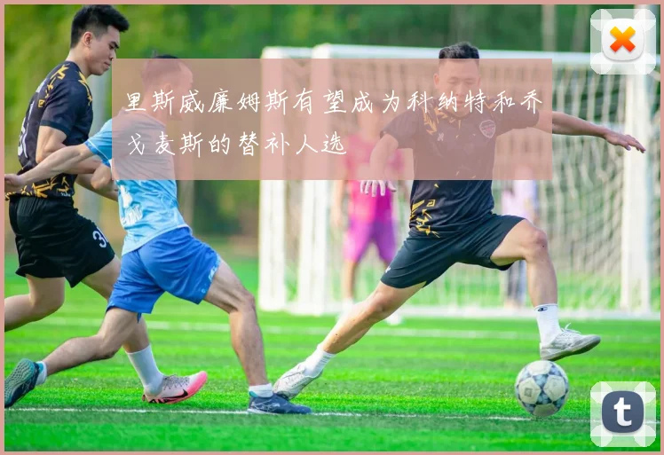 里斯威廉姆斯有望成为科纳特和乔戈麦斯的替补人选