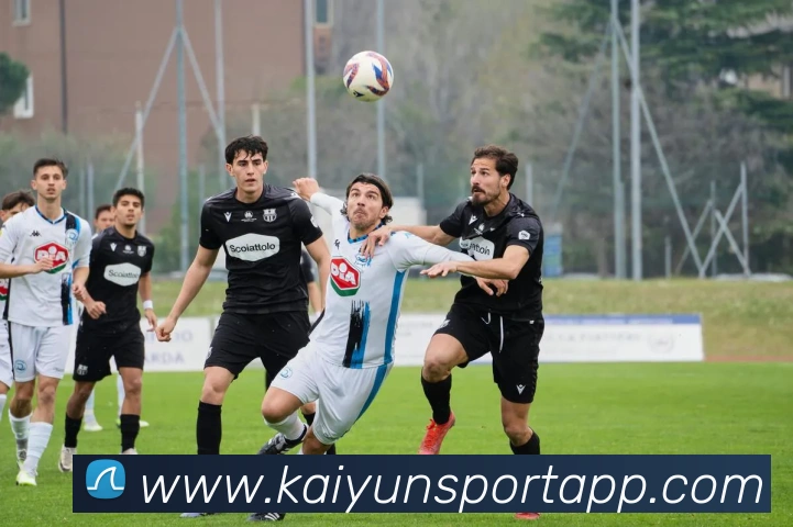 开云体育发展历程